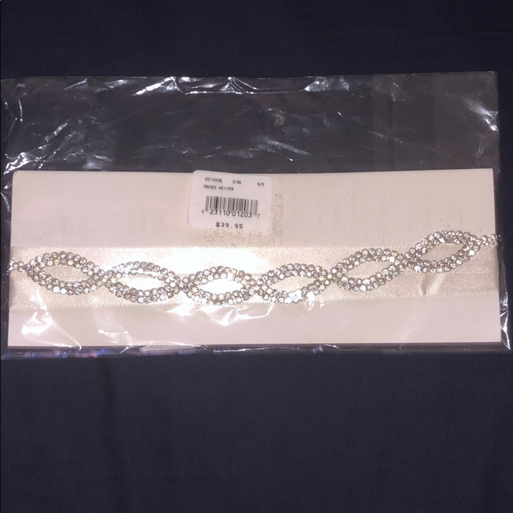 David’s Bridal Pave Sash